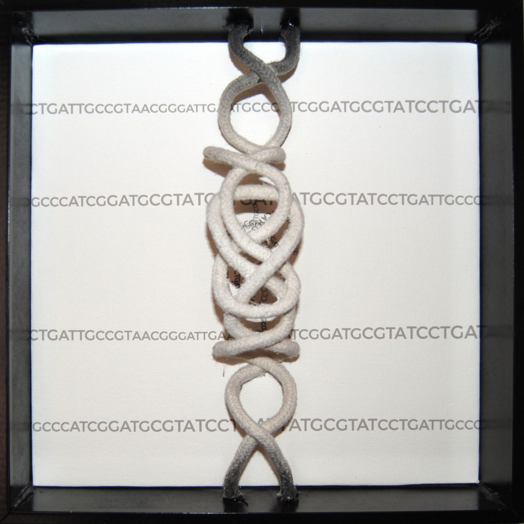 El adn se anuda en una cuerda. Todo un lío de ADN